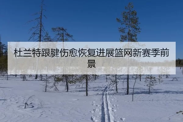 杜兰特跟腱伤愈恢复进展篮网新赛季前景